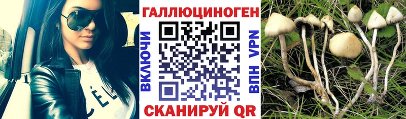 Галлюциногенные грибы ЛСД  Белинский 