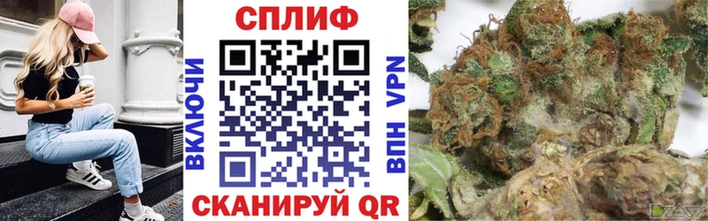 продажа наркотиков  Белинский  Марихуана сатива 